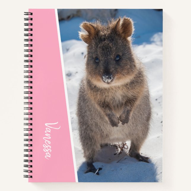 Quokka on the Beach Australia, Pink Accent Girls Notebook (Front)