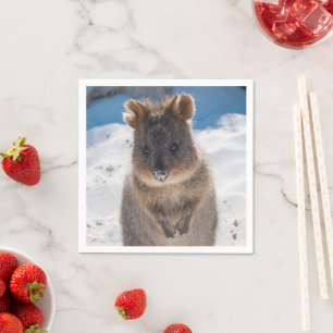 Quokka on the beach in Australia, cute photo Napkin