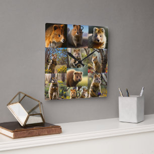 Quokka Photo Collage,  Square Wall Clock