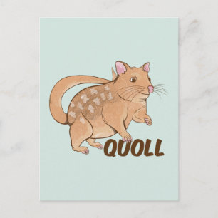 Quoll Australian Marsupial Postcard