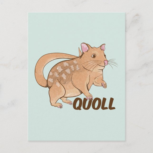 Quoll Australian Marsupial  Postcard (Front)