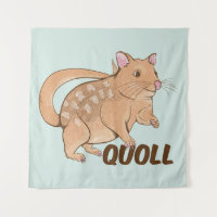 Quoll Australian Marsupial 