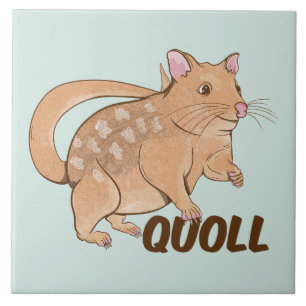 Quoll Australian Marsupial Tile