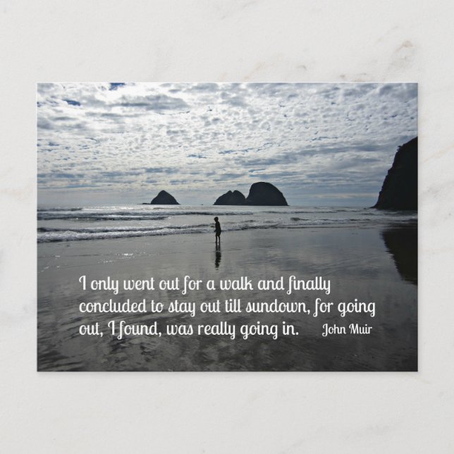 Quote by John Muir about going for a walk Postcard (Front)