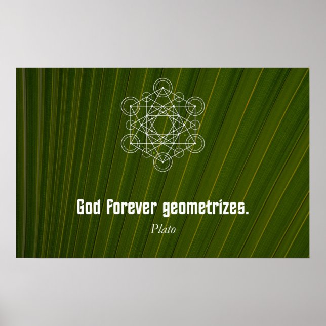 Quote by Plato Poster (Front)