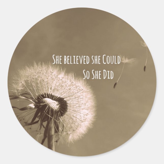 Quote: She believed she could so she Did Classic Round Sticker (Front)