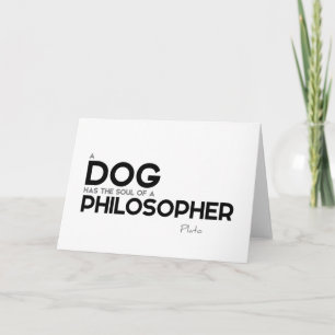 QUOTES: Plato: Dog, philosopher Card