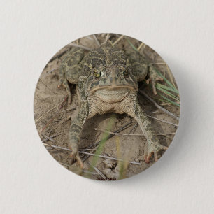 R10 Prairie Toad 6 Cm Round Badge