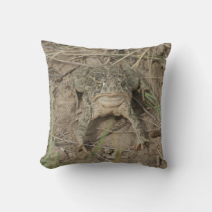 R10 Prairie Toad Cushion