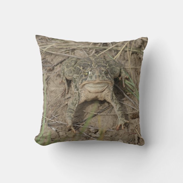 R10 Prairie Toad Cushion (Front)