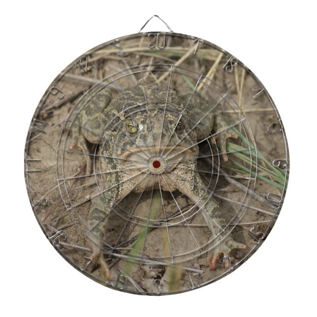 R10 Prairie Toad Dartboard (Front)