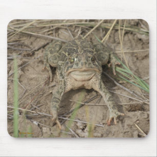 R10 Prairie Toad Mouse Pad