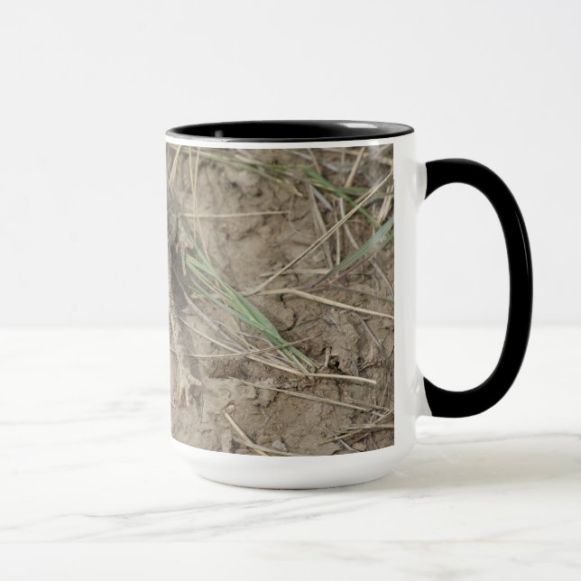 R10 Prairie Toad Mug (Right)