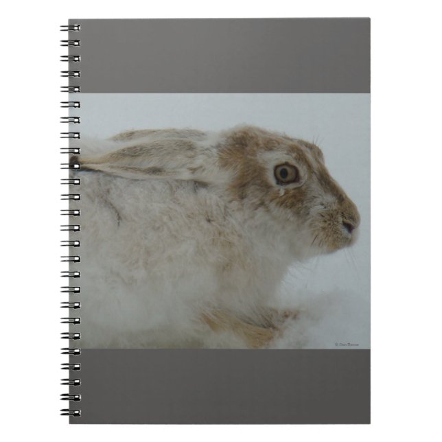 R11 Snowshoe Hare Head Shot Notebook (Front)