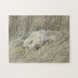 R13 Coyote in Tall Grass Jigsaw Puzzle