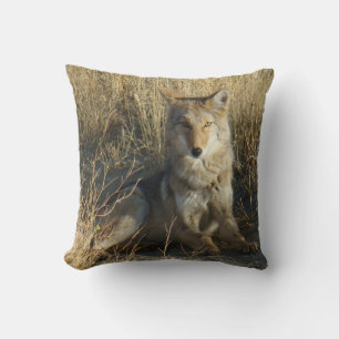 R15 Coyote Laying Cushion