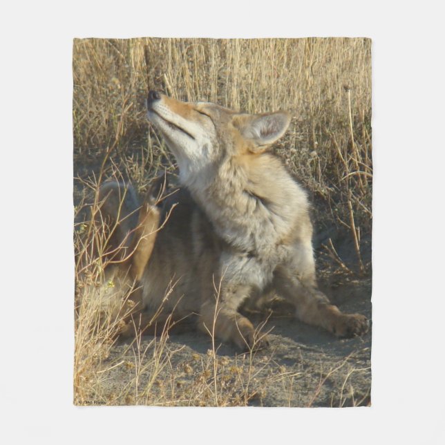 R17 Coyote Scratching Fleece Blanket (Front)