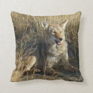 R18 Coyote Laying Cushion