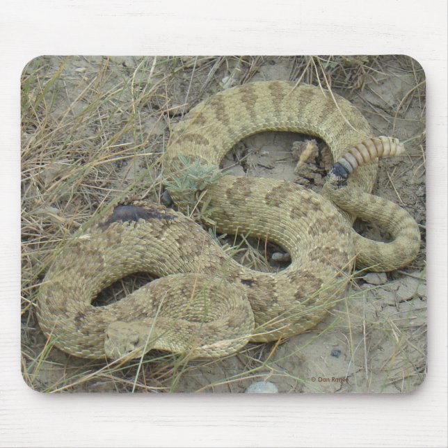 R20 Prairie Rattlesnake Wounded Mouse Pad (Front)