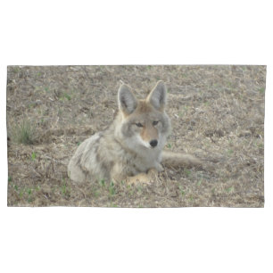 R22 Coyote Laying Pillowcase