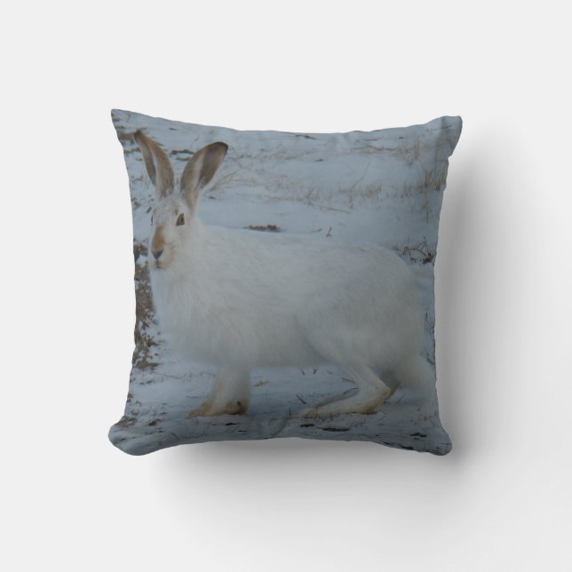 R23 Snowshoe Hare Cushion (Front)