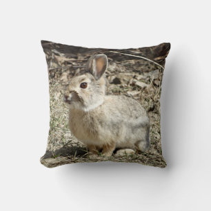 R24 Cotton-tail Rabbit Cushion