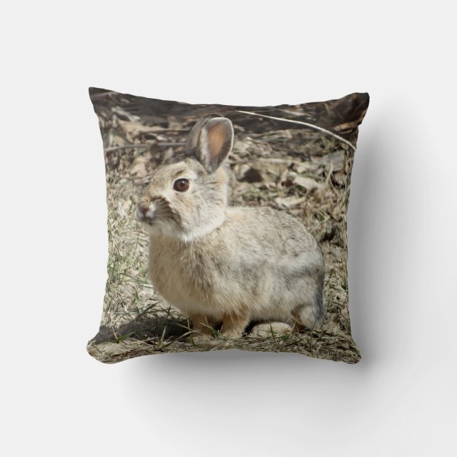 R24 Cotton-tail Rabbit Cushion (Front)