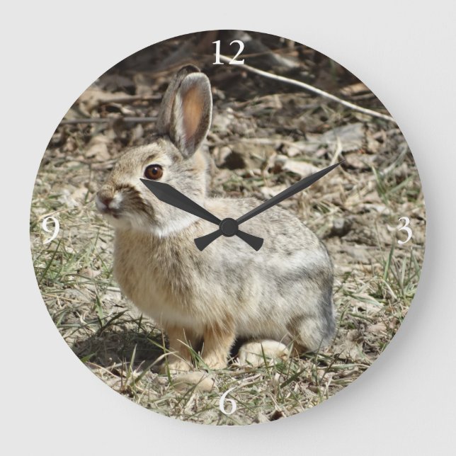 R24 Cotton-tail Rabbit Large Clock (Front)