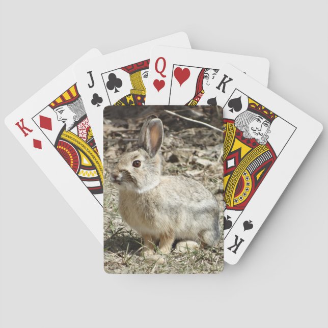R24 Cotton-tail Rabbit Playing Cards (Back)