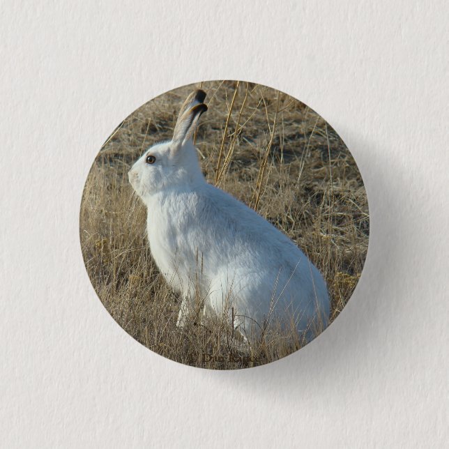 R25 Snowshoe Hare 3 Cm Round Badge (Front)