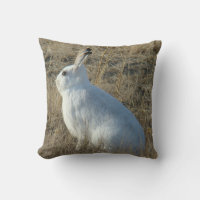 R25 Snowshoe Hare