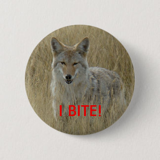 R2 Coyote in Tall Grass 6 Cm Round Badge