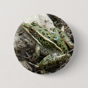R3 Leopard Frog 6 Cm Round Badge