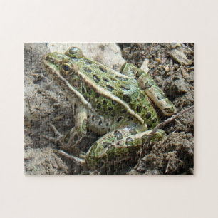 R3 Leopard Frog Jigsaw Puzzle
