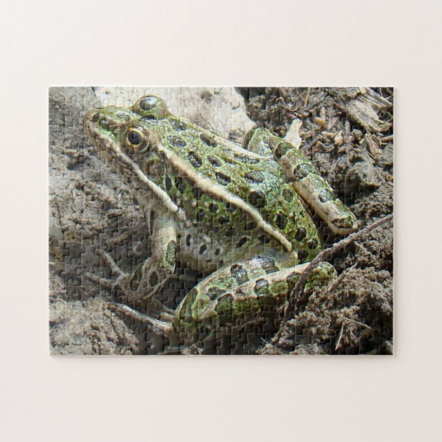 R3 Leopard Frog Jigsaw Puzzle (Horizontal)