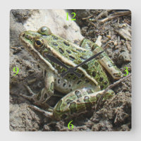 R3 Leopard Frog