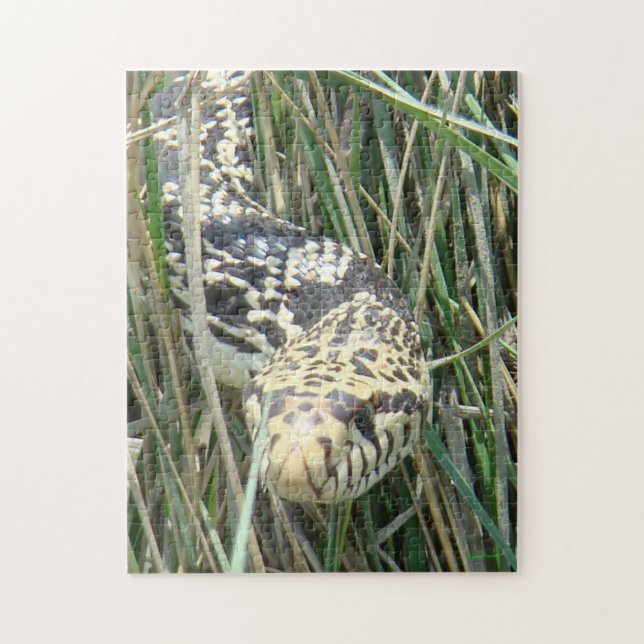 R4 Bull Snake Jigsaw Puzzle (Vertical)
