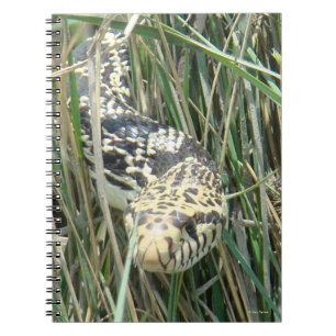 R4 Bull Snake Notebook