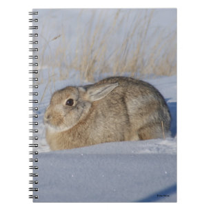 R5 Cottontail Rabbit in Snow Notebook