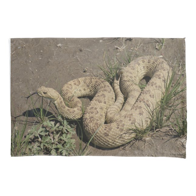 R6 Prairie Rattlesnake Pillowcase (Front)