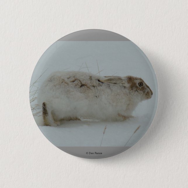 R7 Snowshoe Hare Ready to Run 6 Cm Round Badge (Front)