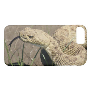 R8 Prairie Rattlesnake Head Shot Case-Mate iPhone Case
