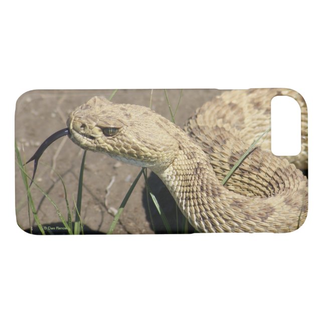 R8 Prairie Rattlesnake Head Shot Case-Mate iPhone Case (Back (Horizontal))