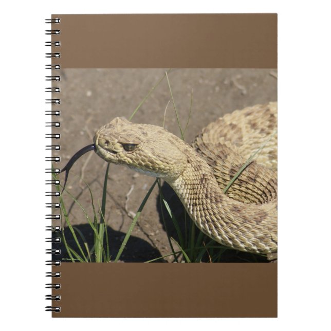 R8 Prairie Rattlesnake Head Shot Notebook (Front)
