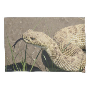 R8 Prairie Rattlesnake Head Shot Pillowcase