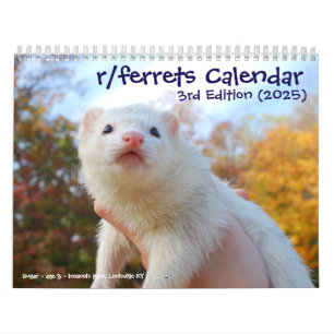 r/ferrets Calendar 3rd Edition (2025)
