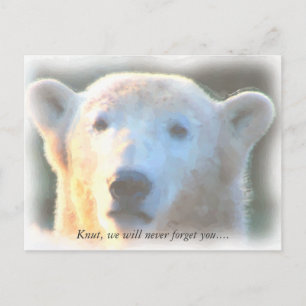 R.I.P. polar bear Knut watercolor Postcard