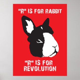 R is For Poster