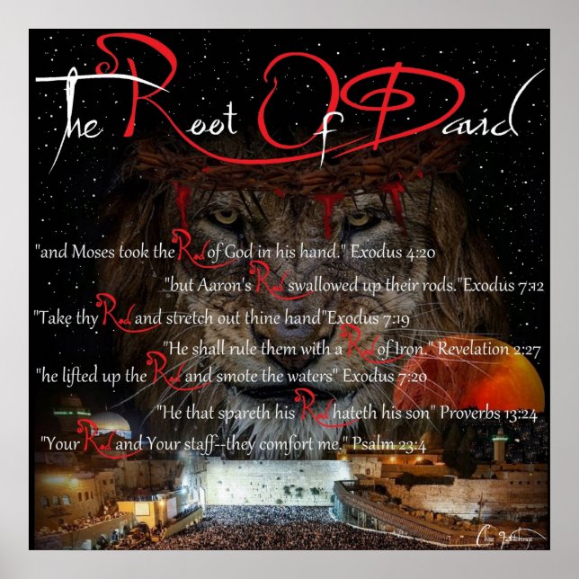 R.O.D. Root Of David Poster (Front)
