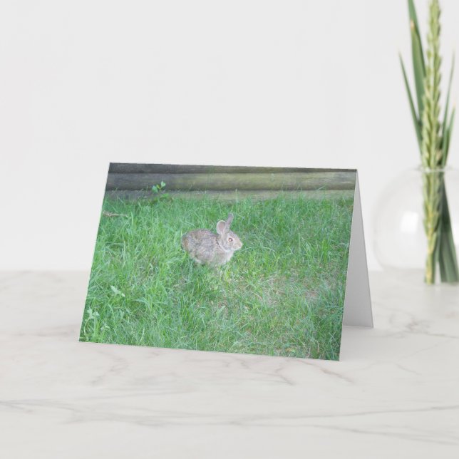 "Rabbit #1" Easter Card (Front)